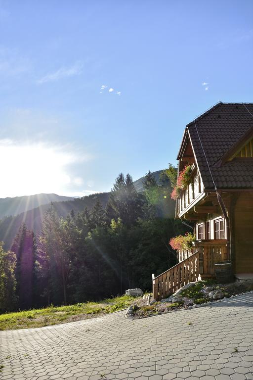 Apartments Petek Gornji Grad Pokój zdjęcie