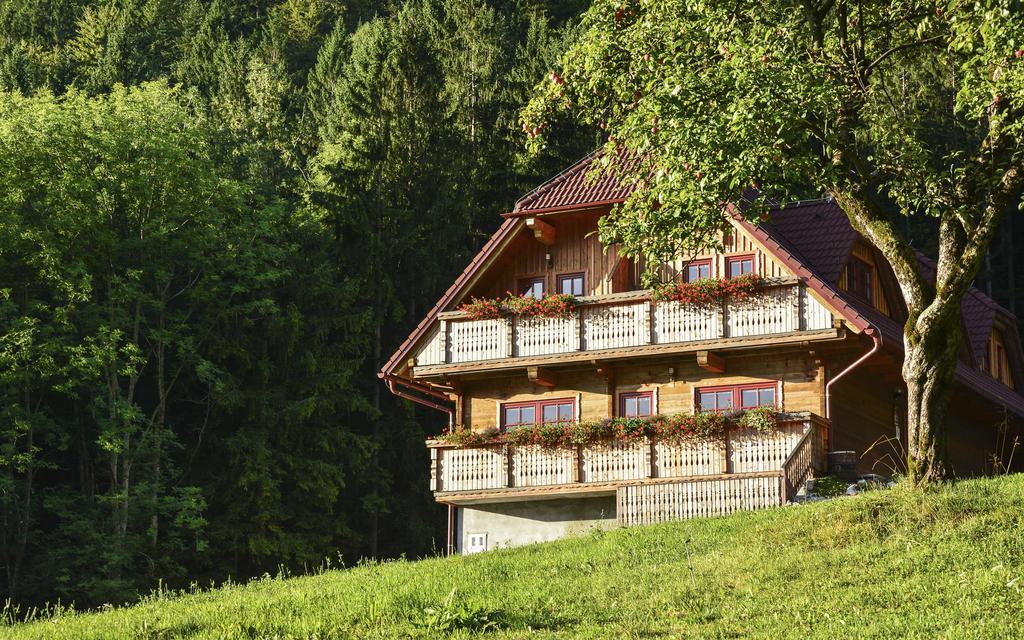 Apartments Petek Gornji Grad Pokój zdjęcie