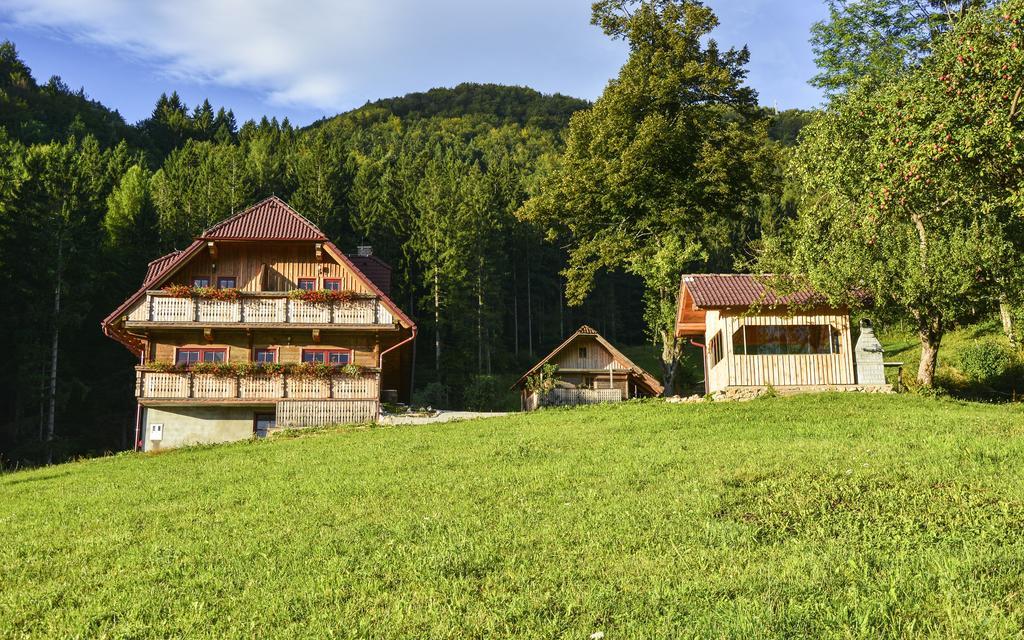 Apartments Petek Gornji Grad Pokój zdjęcie