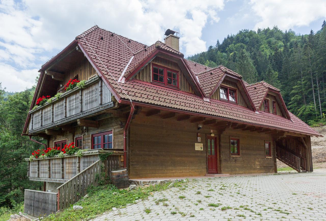 Apartments Petek Gornji Grad Zewnętrze zdjęcie