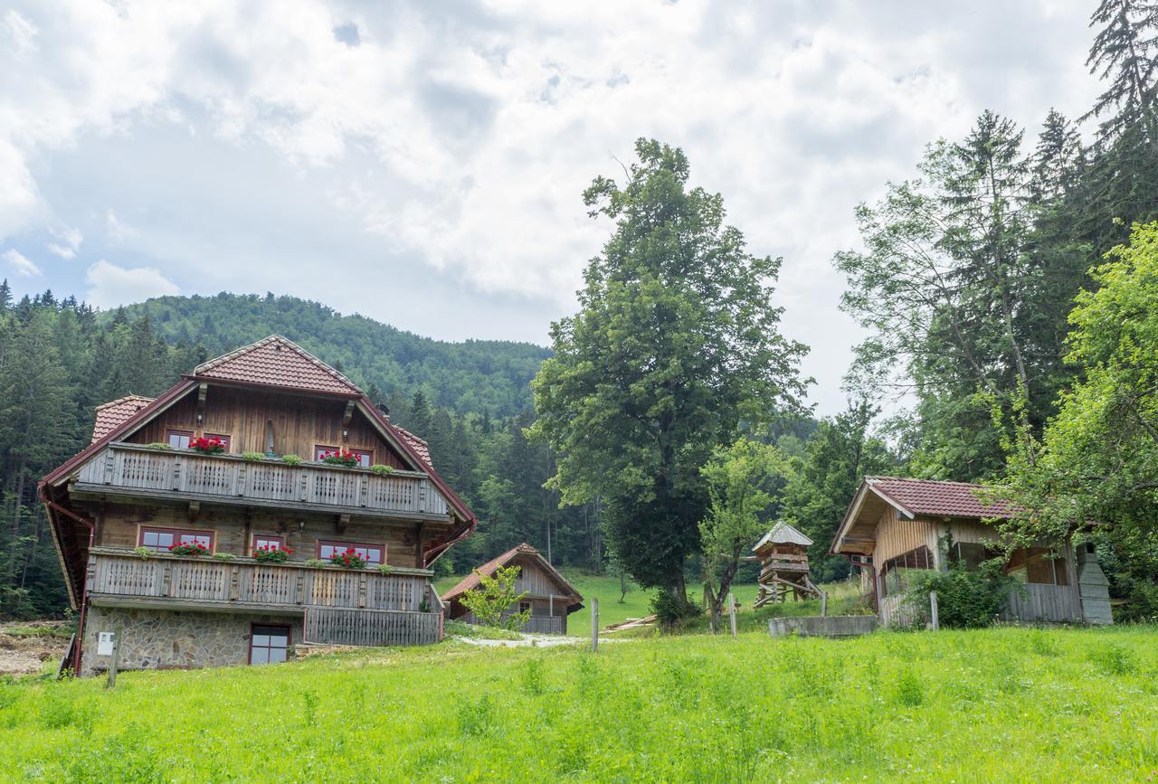 Apartments Petek Gornji Grad Zewnętrze zdjęcie