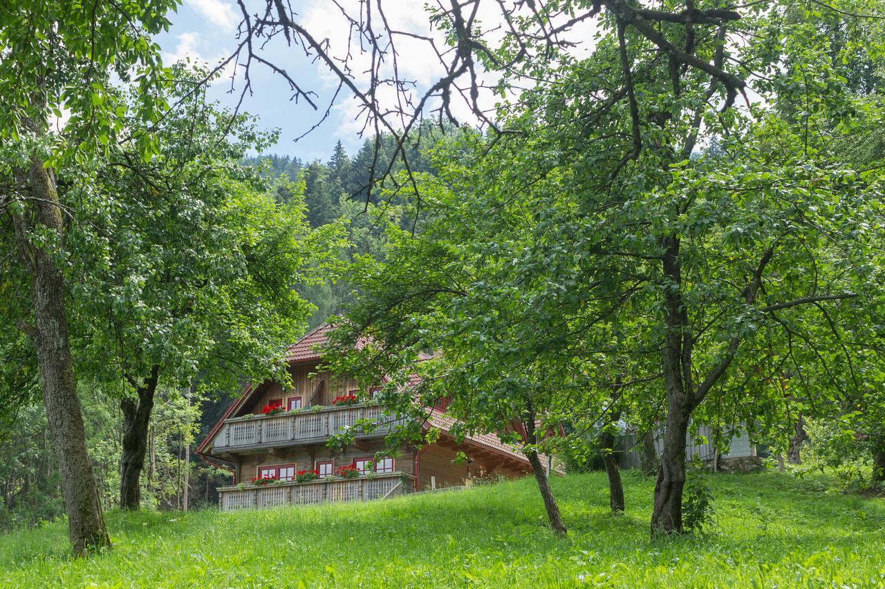 Apartments Petek Gornji Grad Zewnętrze zdjęcie